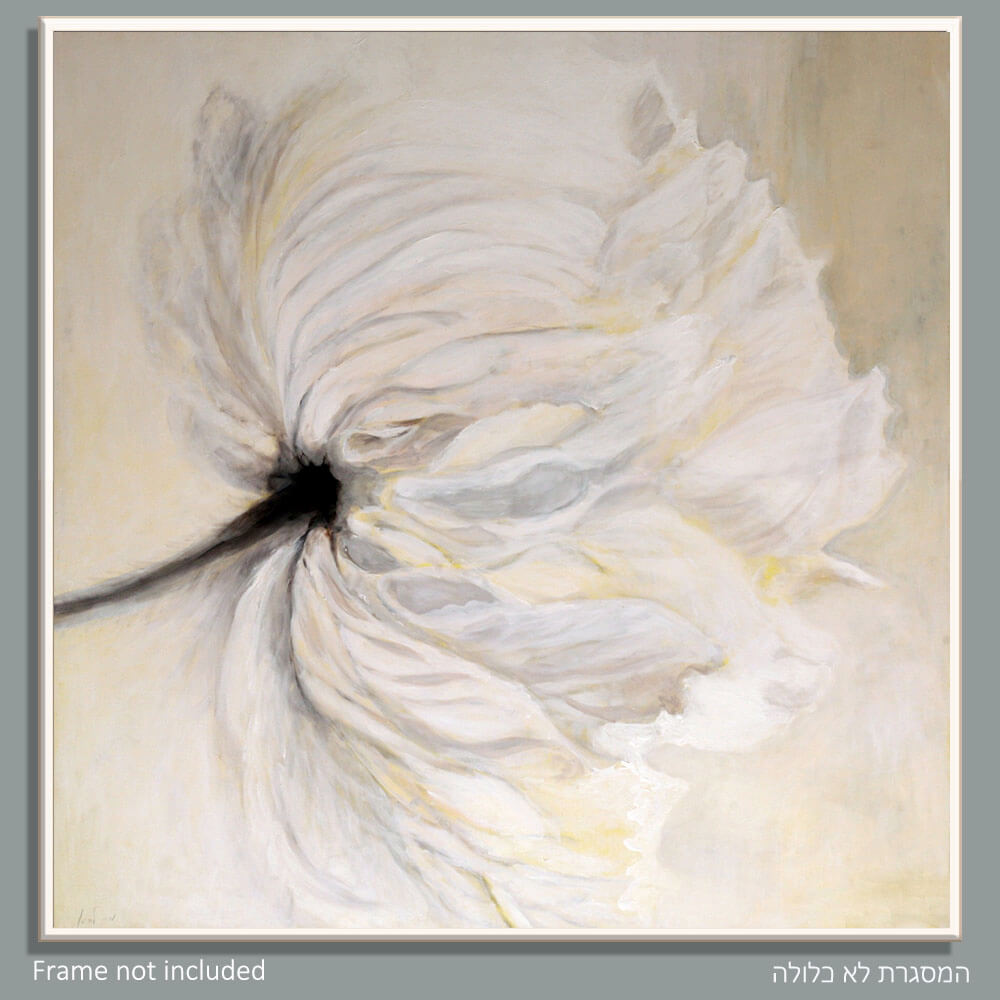 ציור פרח לבן על קנבס גדול ציירת מירי לביא