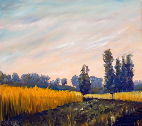 נוף שדה חיטה