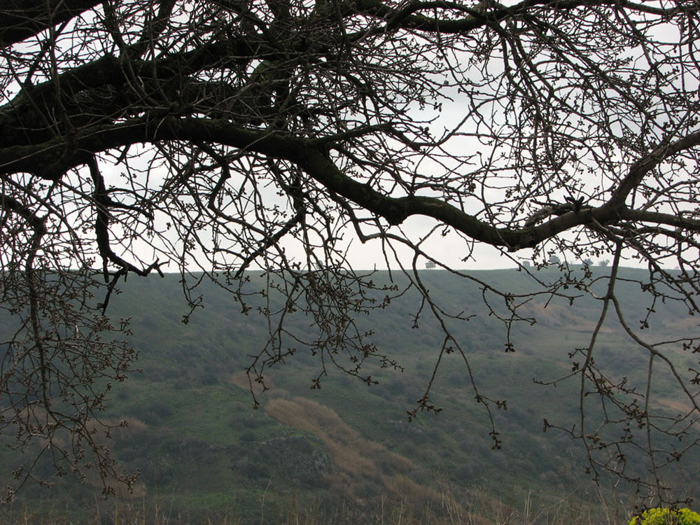 landscape-photos-for-paintings-miri-lavee (1)