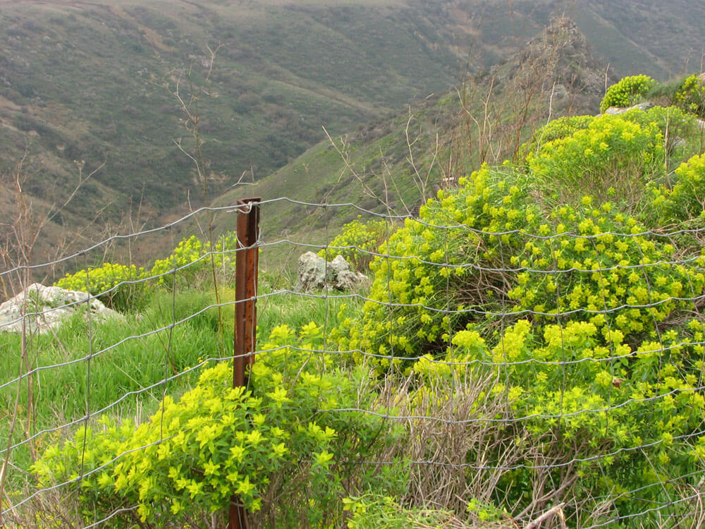 landscape-photos-for-paintings-miri-lavee (2)