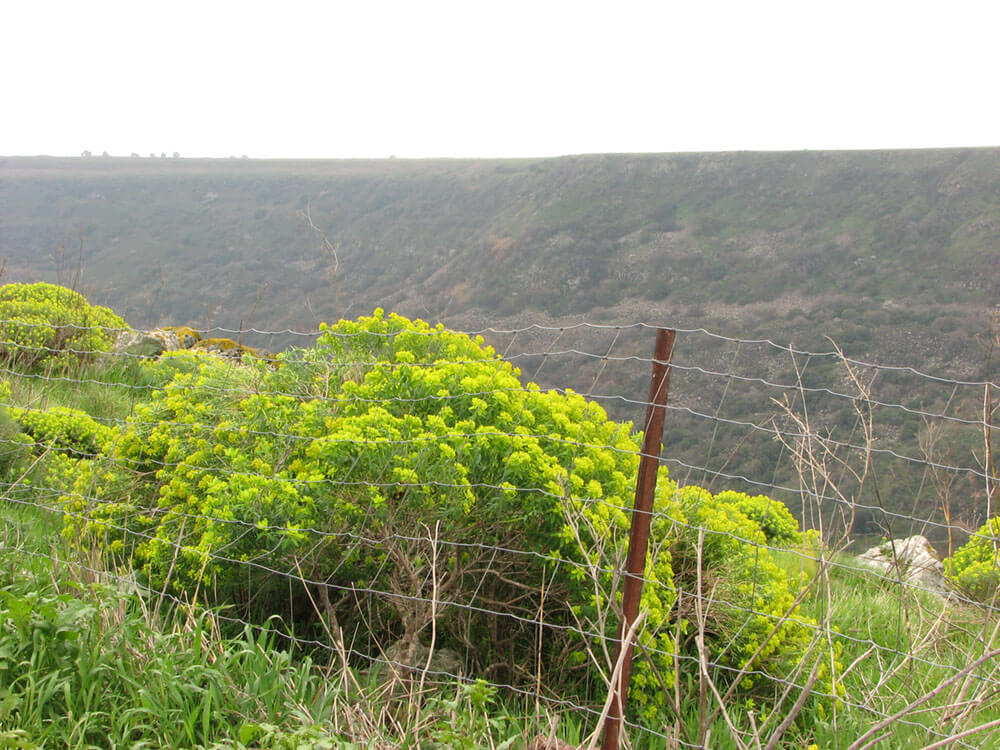 landscape-photos-for-paintings-miri-lavee (3)