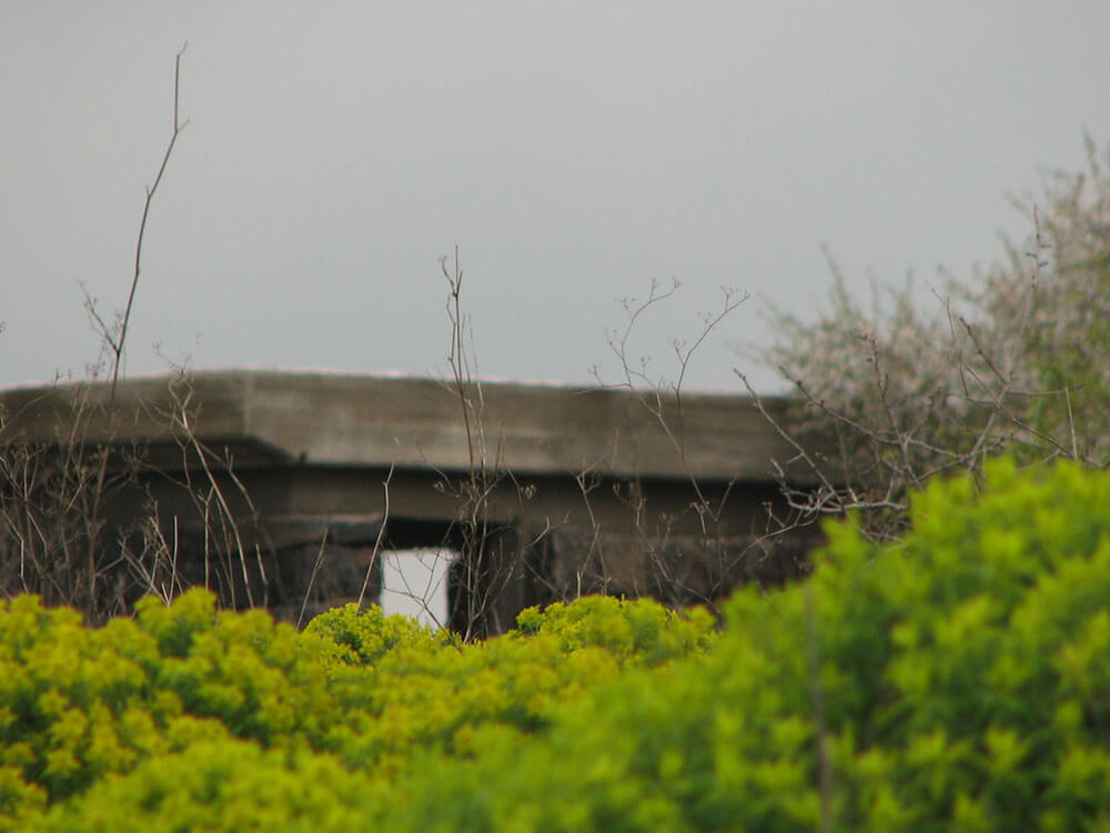 landscape-photos-for-paintings-miri-lavee (4)